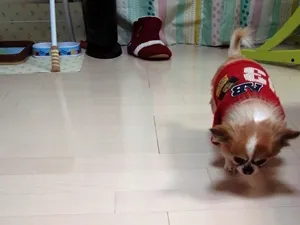 施工事例1