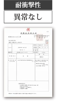 耐衝撃性　異常なし