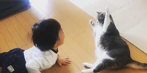 フロアコーティングで家事ラク！子育て・ペット家庭におすすめの床対策とは？