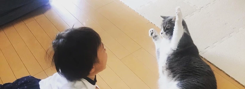 フロアコーティングで家事ラク！子育て・ペット家庭におすすめの床対策とは？