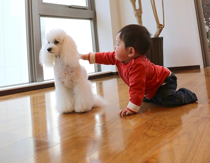 小さなお子様やペットに優しい床