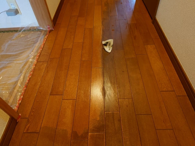 ワックス剥離作業