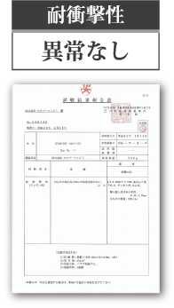 耐衝撃性　異常なし