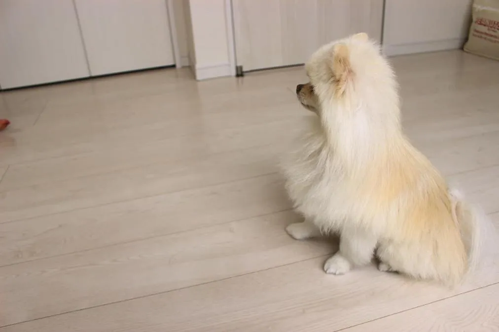 No.12:お客様の声メイン