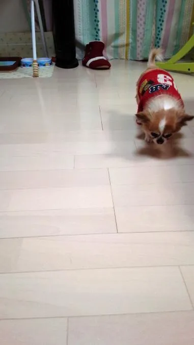 No.7:お客様の声メイン