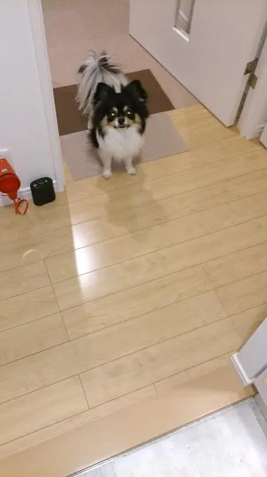 No.8:お客様の声メイン