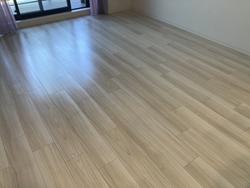 【硬化後】